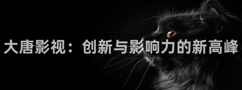 新视觉影院在线观看6080