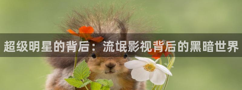 南京新视觉职业技术学院